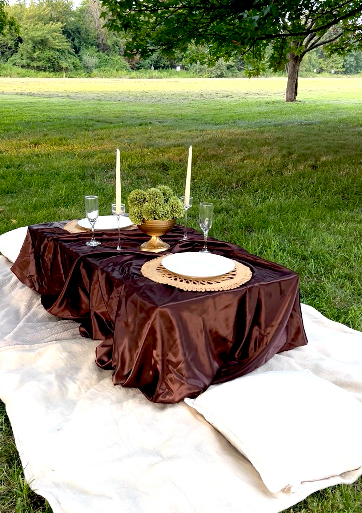 Styled outdoor picnic setup
